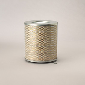 Donaldson P528219 Air Filter