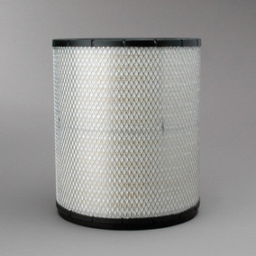 Donaldson P181118 Air Filter
