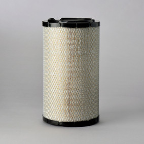 Donaldson P821883 Air Filter