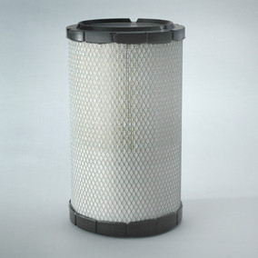 Donaldson P784609 Air Filter