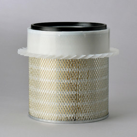Donaldson P181000 Air Filter