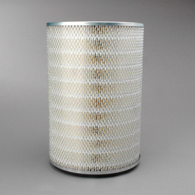Donaldson P181046 Air Filter