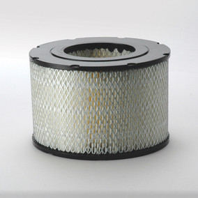Donaldson P526756 Air Filter