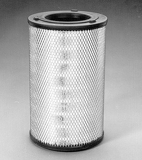 Donaldson P772578 Air Filter