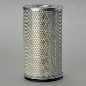 Donaldson P181119 Air Filter