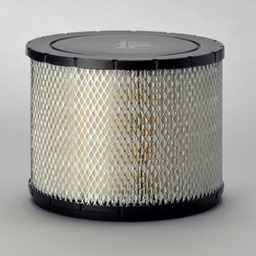 Donaldson P181107 Air Filter