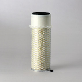 Donaldson P182062 Air Filter