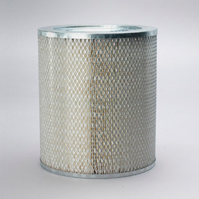 Donaldson P015838 Air Filter