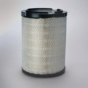 Donaldson P527484 Air Filter