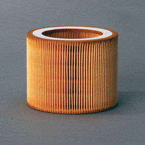 Donaldson P784578 Air Filter