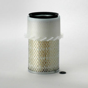 Donaldson P136258 Air Filter
