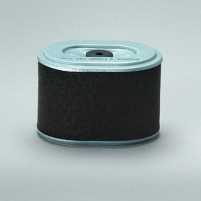 Donaldson P786889 Air Filter