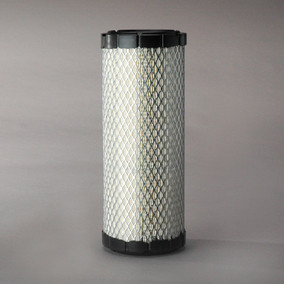 Donaldson P821575 Air Filter