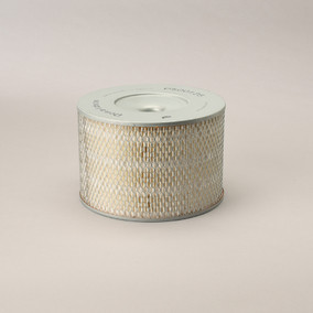 Donaldson P500125 Air Filter