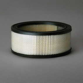 Donaldson P607255 Air Filter