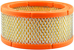 Baldwin PA30011 Air Element