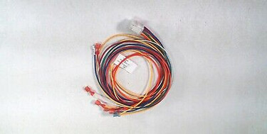 Trane WIR2360 Wiring Harness W/12Pin Connect