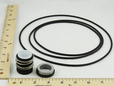 Grundfos 485278 SEAL KIT LMLP 22MM BBLUE