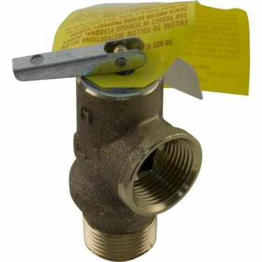 Raypak 011912F Pressure Relief Valve 125#