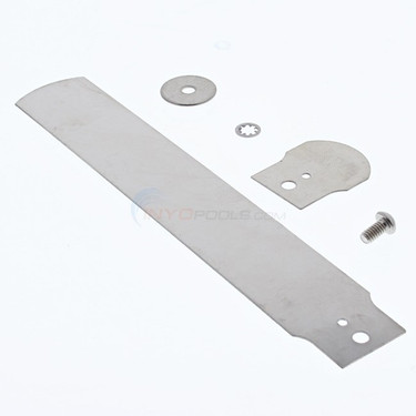 Raypak 004079F SLOW SWITCH PADDLE KIT