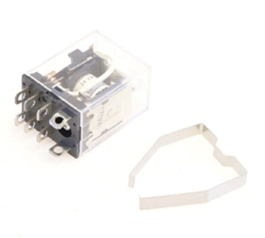 Raypak 009688F RELAY 24V