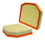 WIX 49545 Air Filter Panel