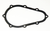 WIX 15255 Gasket
