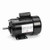 Regal Rexnord - Century Motors C313 115/230v1ph 1hp 1725rpm Motor
