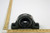 Daikin-McQuay 20648604 2 3/16" BALL BEARING W/SETSCRW