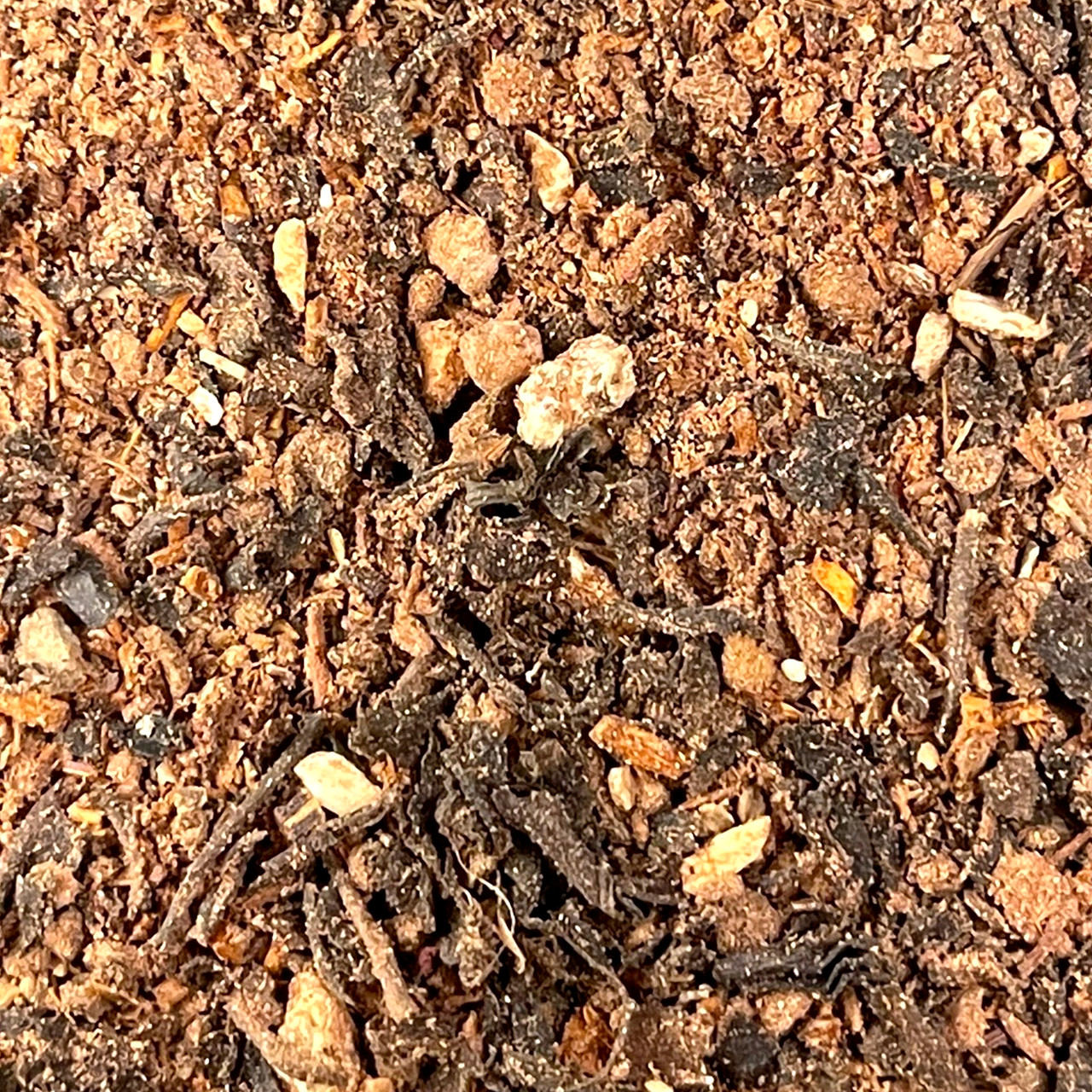 Groo's Morning Brew (Coffee Substitute) Tea