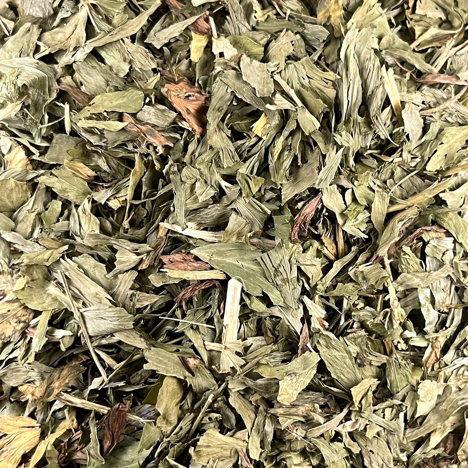 Goats Rue Tea Goats Rue