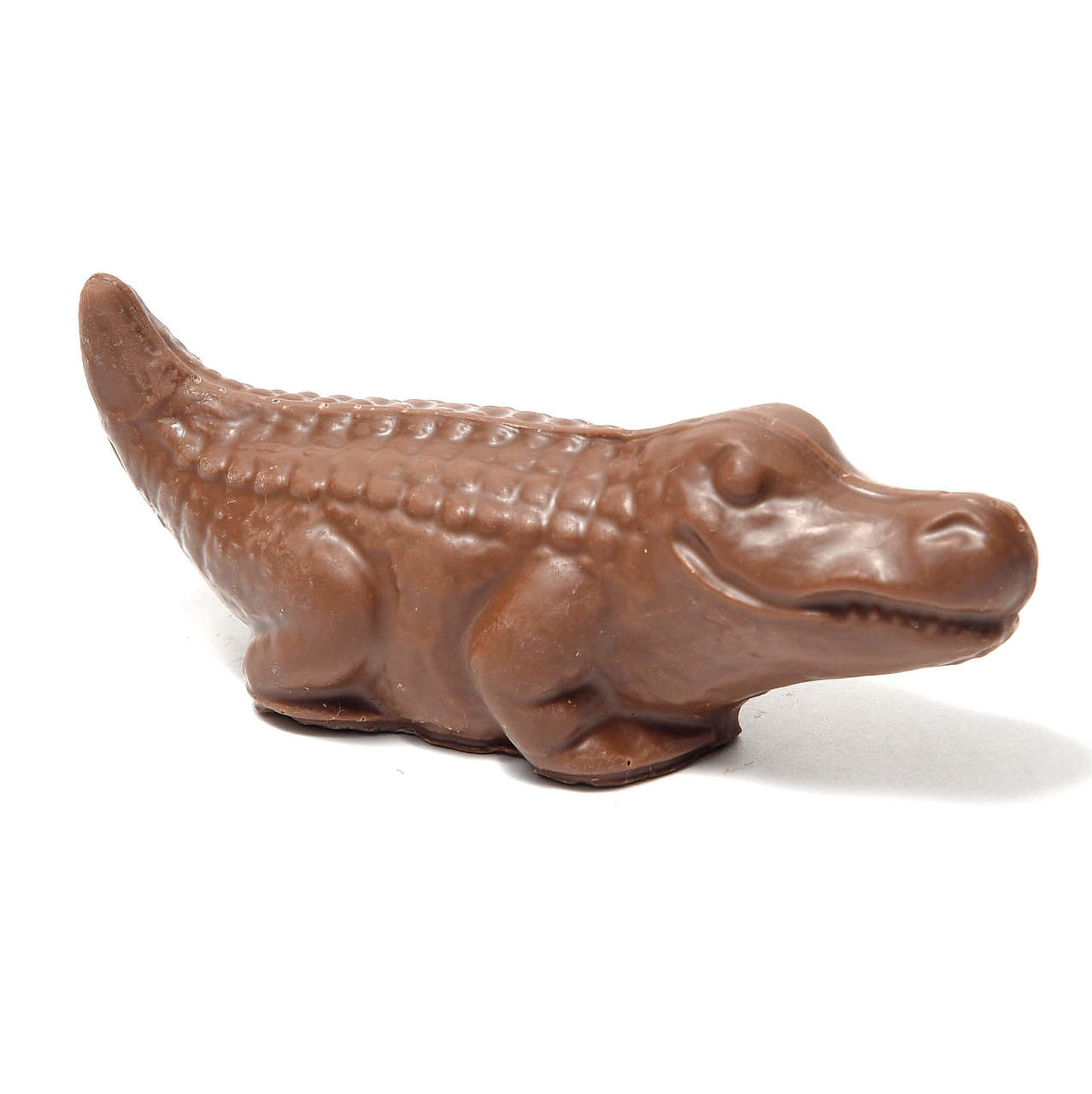 Chocolate Alligator in Milk & Orange Chocolate Platter's