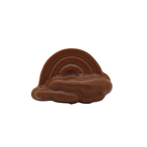 Chocolate Rainbow Chocolate Rainbow