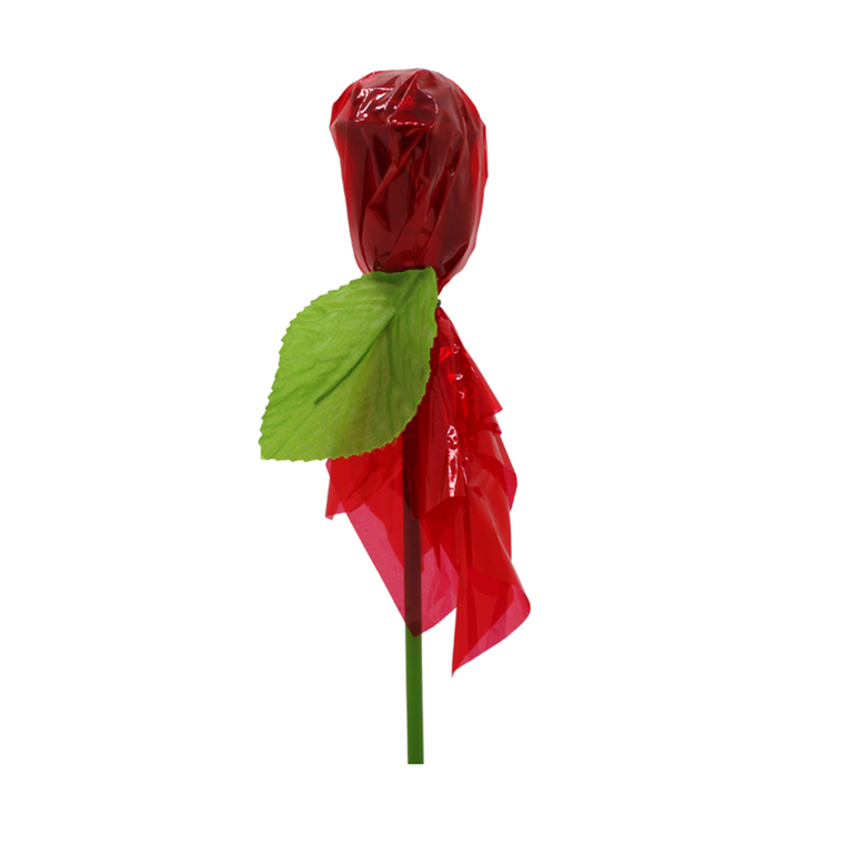 Chocolate Wrapped Rose