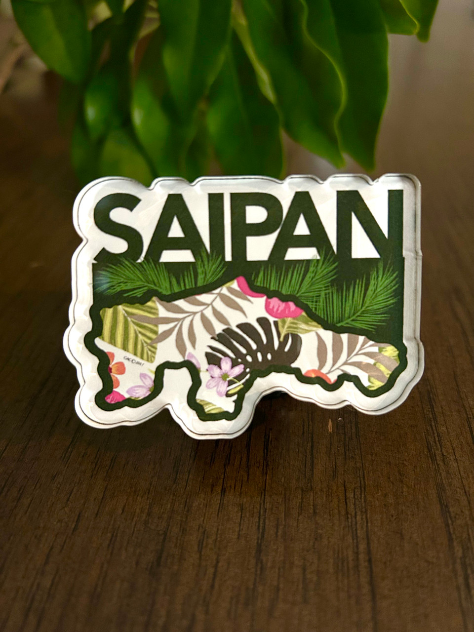 Saipan Map Acrylic Magnet - 4