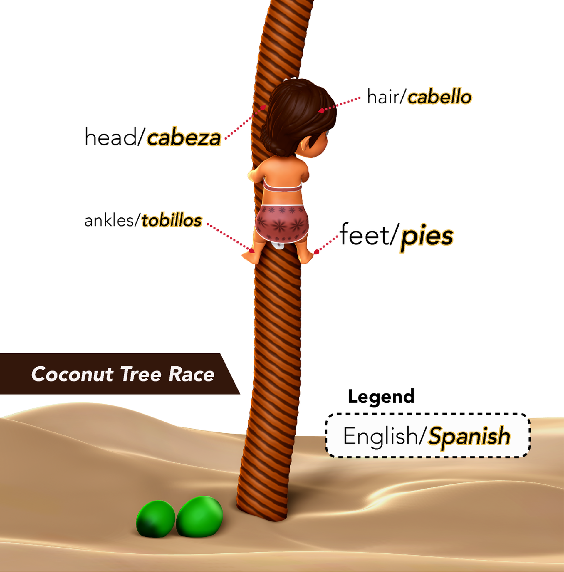 Head, Shoulders, Knees and Toes in Spanish with English Translations