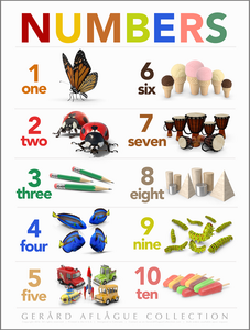 High Quality Print: Teacher Created Numbers Classroom Poster