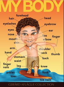 English Teach Me My Body Parts - Male - Teacher Classroom Poster