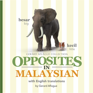 Opposites in Malaysian Children's Book