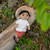 12" Juan Plush Doll (A Guam collector's item)
