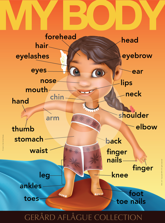 English Teach Me My Body Parts - Female - Teacher Classroom Poster