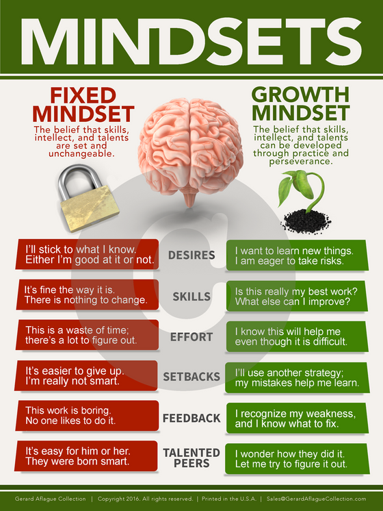 brain growth poster