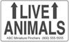 Custom printed Live Animal Labels with your Business name contact details.