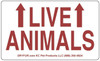 PERSONALIZED - CUSTOM - Live Animal Labels with ARROWS