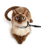 Cat Collar Leash for Airline Travel