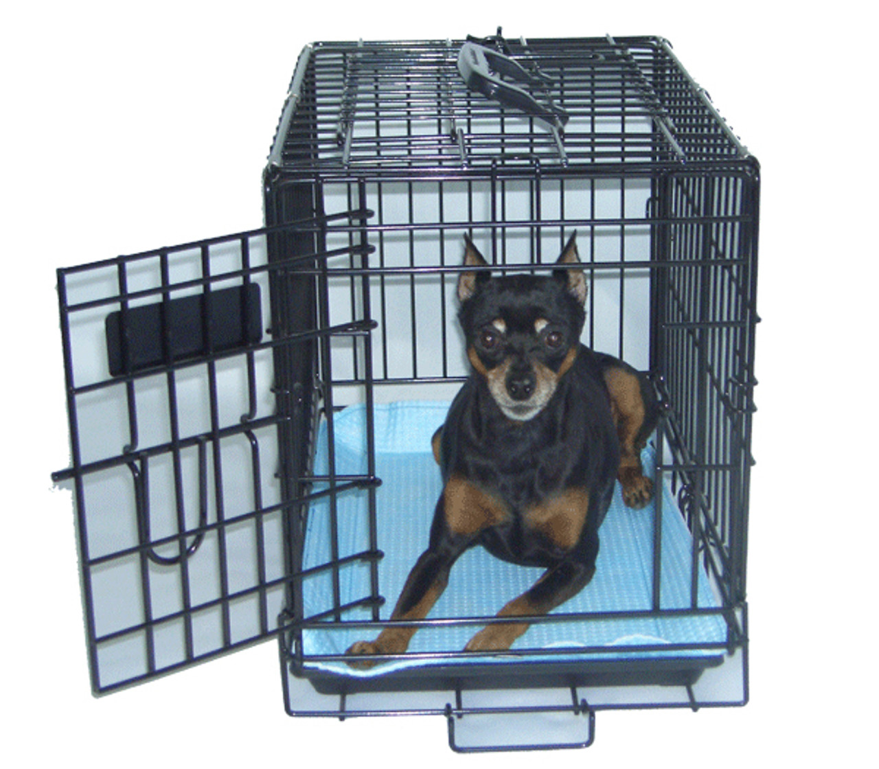 Temporary clearance pet carrier