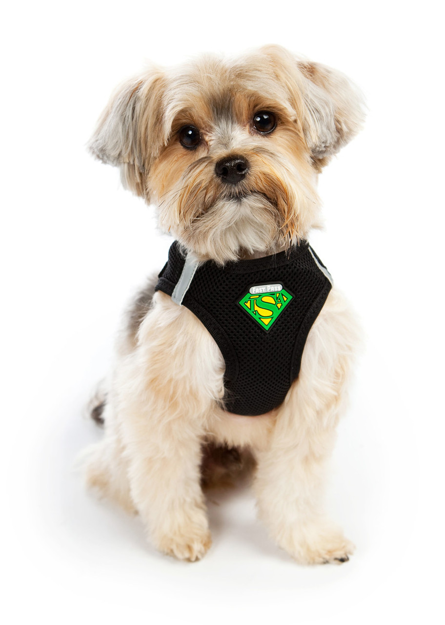 Dog In TSA Fast Pass Harness