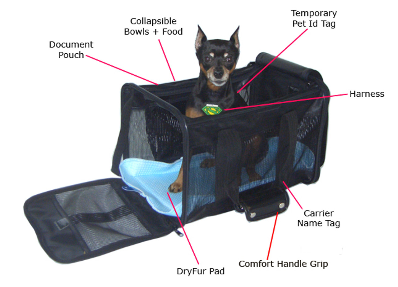 In Cabin Pet Travel Checklist