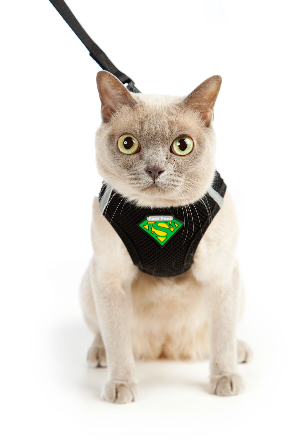 Cat Harness with Leash Easy Step-in Design