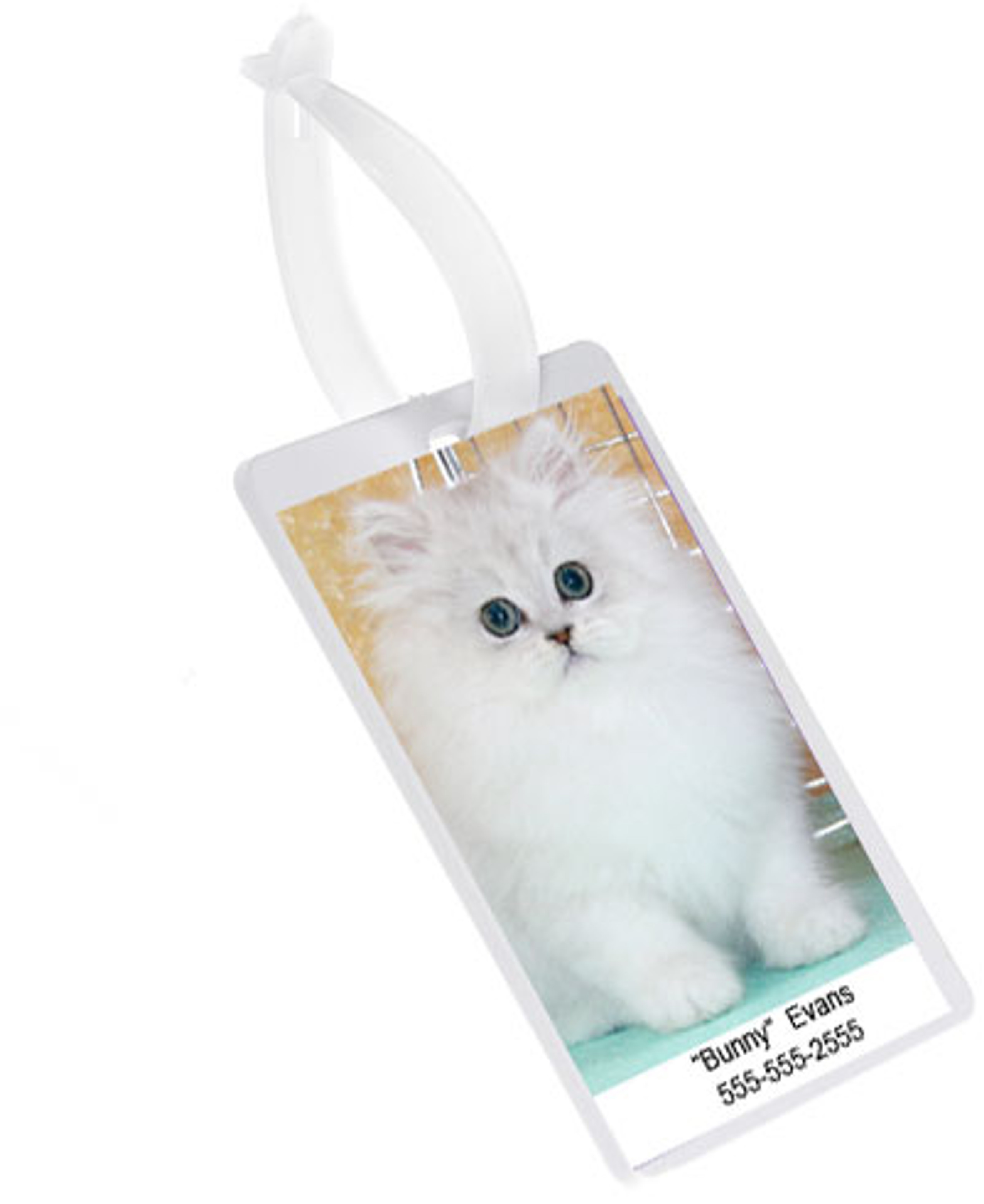 Pet Carrier Picture ID Tags DryFur® Pet Airline Travel Supplies